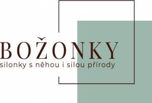 bozonky-logo-1024x698